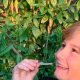 ortodoncia invisible para niños y adolescentes